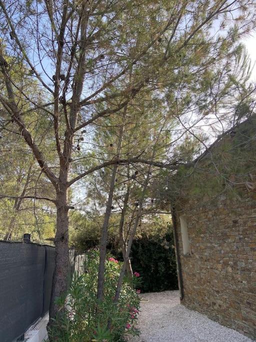 Maison Proche Du Pic Saint Loup Екстериор снимка